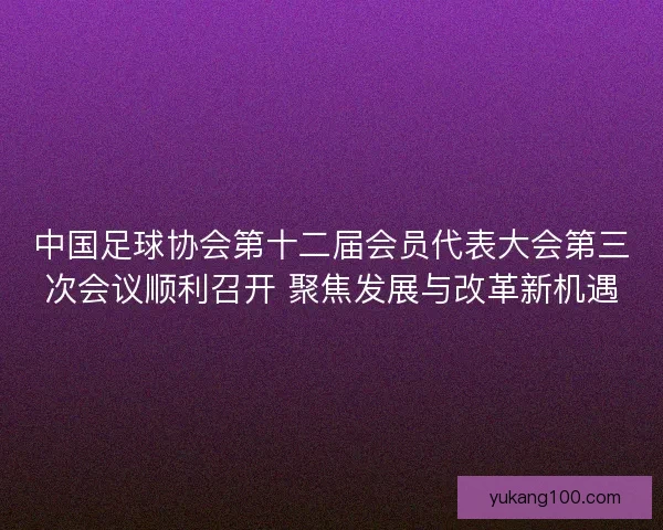 中国足球协会第十二届会员代表大会第三次会议顺利召开 聚焦发展与改革新机遇